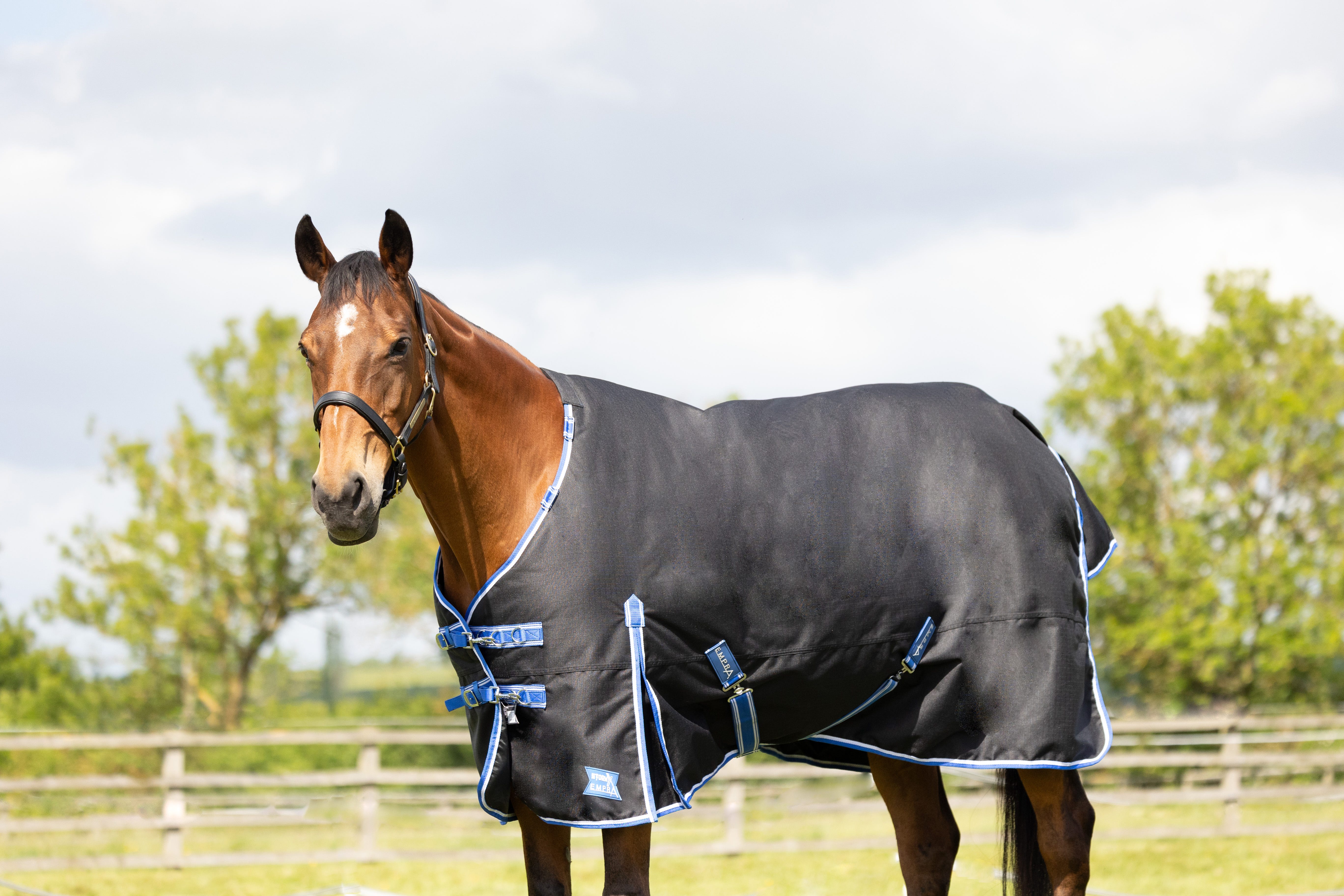 StormX Empra Extra 200g Turnout Rug with Detachable Neck image 3